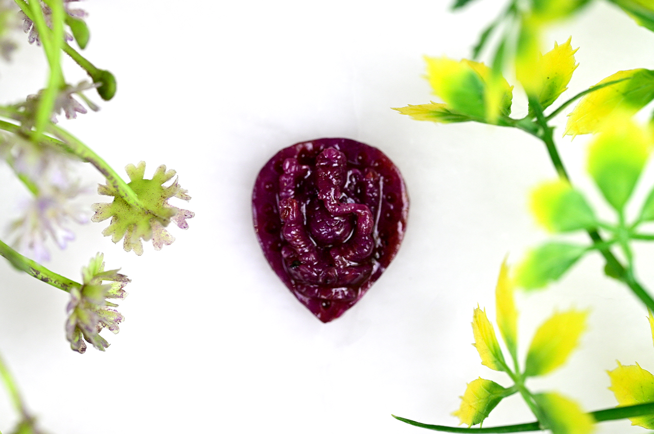 LG65 Natural Ruby Ganesh 1